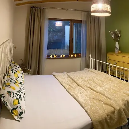 зелена Holiday home