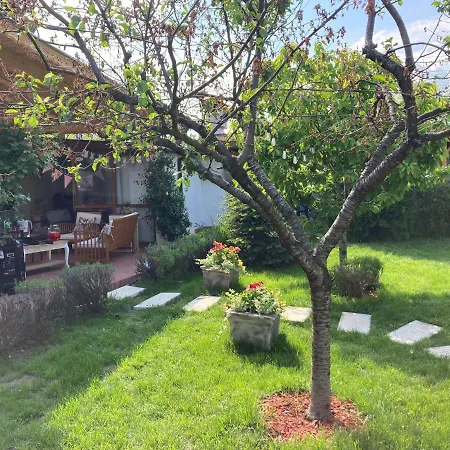Vakantiehuis зелена Vinogradets