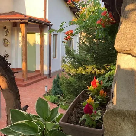 Tatil Evi зелена *