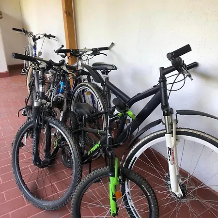 зелена بيت للعطل