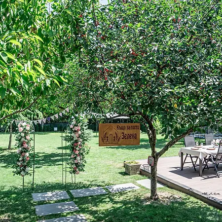 зелена Holiday home Vinogradets