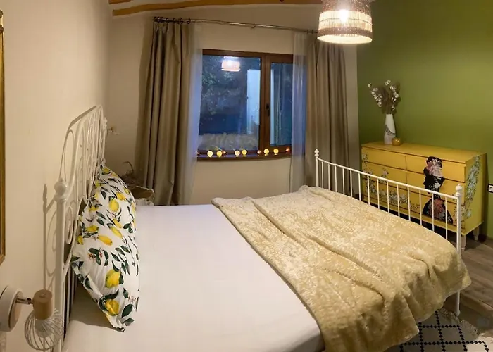 зелена Case de vacanță