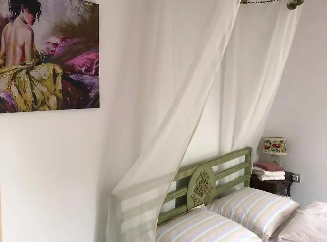 зелена Case de vacanță *