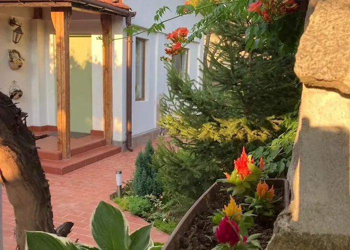 Case de vacanță зелена *