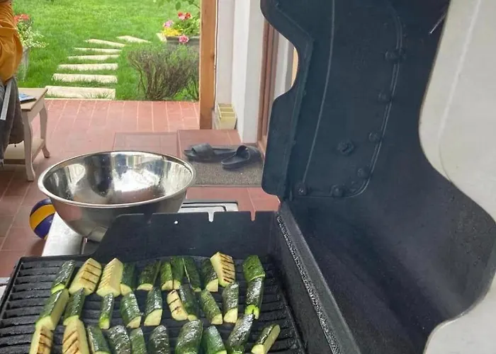 зелена Vinogradets