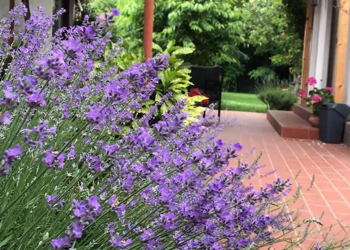 Dom wakacyjny зелена *