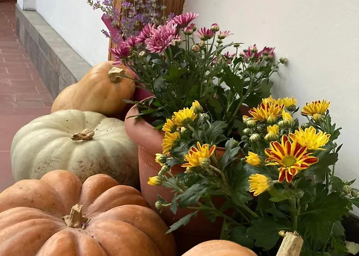 зелена Dom wakacyjny *