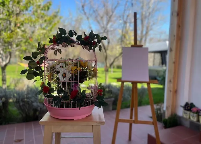 зелена Vinogradets