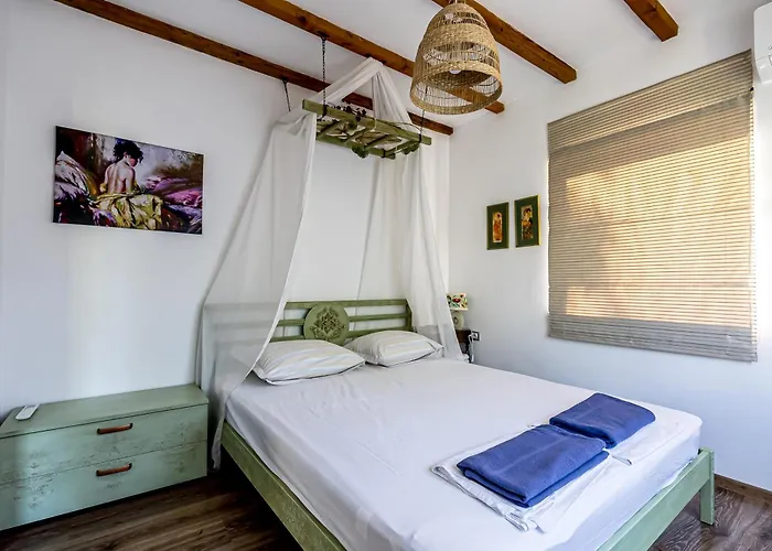 Case de vacanță зелена