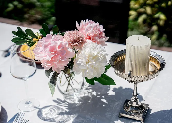 зелена Case de vacanță *